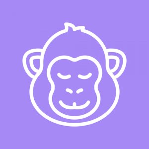 CopyMonkey icon