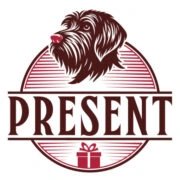 Present App icon