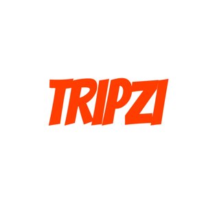 TripZi icon