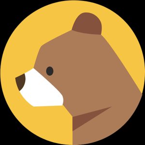 BrainyBear icon